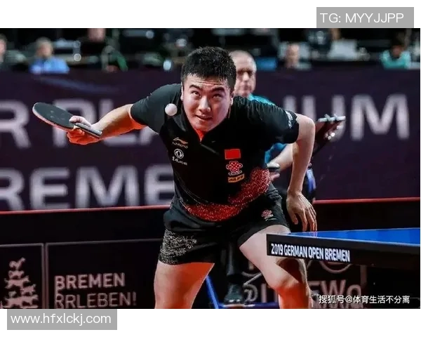 杭州乒乓球队的节奏分析与未来发展趋势探讨