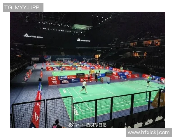 深圳羽毛球队在世界锦标赛中的比赛经验与表现分析